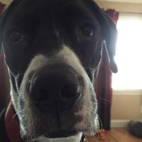 Dawn Sawyer (@dwsawyer1) 's Twitter Profile Photo Dawn Sawyer (@dwsawyer1) 's Twitter Profile Photo