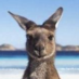 WATourism's profile picture. 