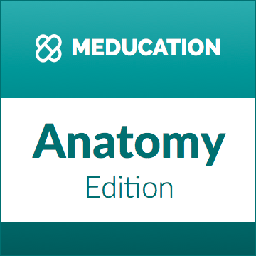 The most fascinating updates from the world of anatomy. For more visit https://t.co/Z6EUGjIsXY