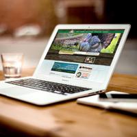 Web Design Pros (@clickmedesign1) 's Twitter Profile