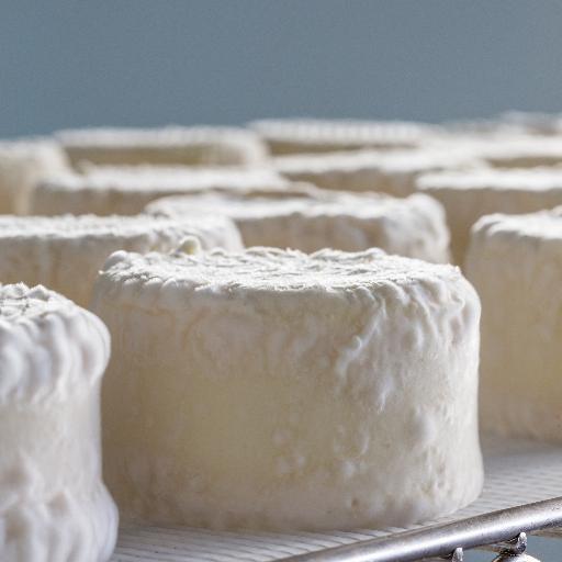 A sheep and cow milk creamery located in Portland, OR. Come visit our new urban creamery