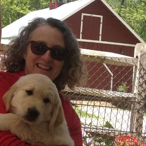 CDFresh's profile picture. Food waste warrior; lover of dogs & college basketball!
