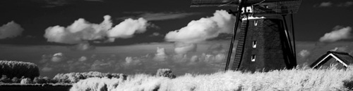 dutchtranslate's profile picture. 