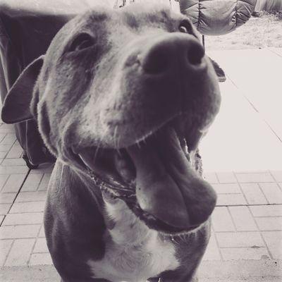 Media and Marketing. Go Follow @MrGoldMoney #GoldMoneyMedia
https://t.co/DkzTOzROt8…