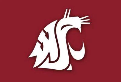 DKaysner's profile picture. 