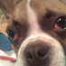 Diesel Babzani (@dieseltruck) Twitter profile photo