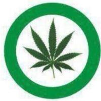 The Stoner Nation⢠(@ourstonernation) 's Twitter Profile Photo The Stoner Nation⢠(@ourstonernation) 's Twitter Profile Photo