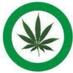 The Stoner Nation™ (@ourstonernation) Twitter profile photo The Stoner Nation™ (@ourstonernation) Twitter profile photo