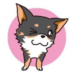 ゆみねえさんのプロフィール画像
