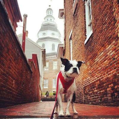 MrBernUnit's profile picture. TV Pro, Tampa Sports, Family Man, Fun in the Sun