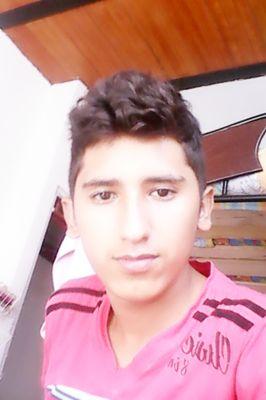 diegov5465's profile picture. 