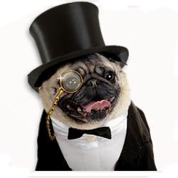 Official Spokesman and Mascot of the Alwar Alliance in EVE Online