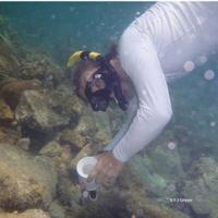 John Artim (born at 315ppm CO2) (@reefmanjohn) 's Twitter Profile Photo