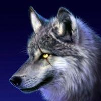 Silver-Wolf (@silverwolf2015) 's Twitter Profile