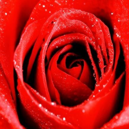 Sm106752002's profile picture. Hello... Hi .. Nice to meet you ! ... ~ ^^ 😊