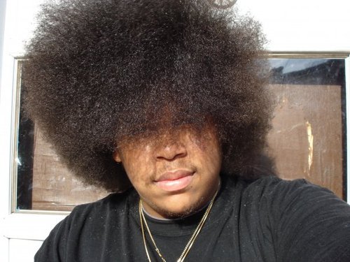 DiasporaIsDead's profile picture. 