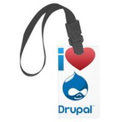 drupal developer