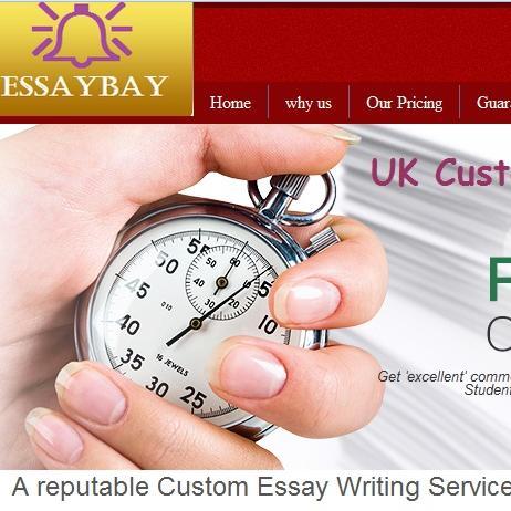 essayhelpnow's profile picture. 