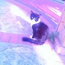 :))) (@0506_055) Twitter