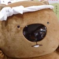 いもぞう (@imozoh_tw) 's Twitter Profile Photo