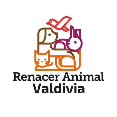 Agrupación antiespecista de rescate y protección animal, que con tu apoyo puede seguir ayudando!
Santuario en construcción
Trabajando desde el 2015.