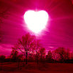 Dale ๐๐๐บ๐ธ๐ป๐บ๐ฆ๐ณ๏ธโ๐ (@929sunshine) Twitter profile photo Dale ๐๐๐บ๐ธ๐ป๐บ๐ฆ๐ณ๏ธโ๐ (@929sunshine) Twitter profile photo