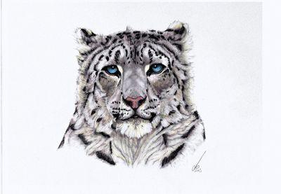 TeamPAPS's profile picture. 