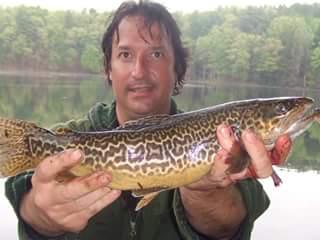 seanlegacy7's profile picture. 40 something writer, image artist, writer and researcher. First published at 21. Point Zero Bliss, Greathouse. 
Available as personal assistant for projects.