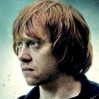 Brother. Father. Son. Husband. Best mate. Keeper. Wizard. Ginger. Est. 1980 #HarryPotter #Parody