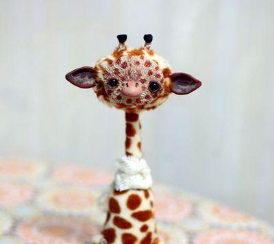 kazada72's profile picture. 