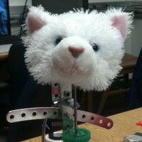 William Byrd (@webyrd) 's Twitter Profile