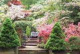 A blog offering tips and techniques for successful DIY gardening and landscaping projects.