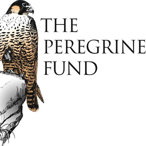 The Peregrine Fundさんのプロフィール画像