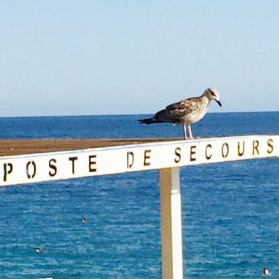 OVERTHETIME92's profile picture. 