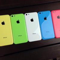 immCNR (@immcnr) 's Twitter Profile