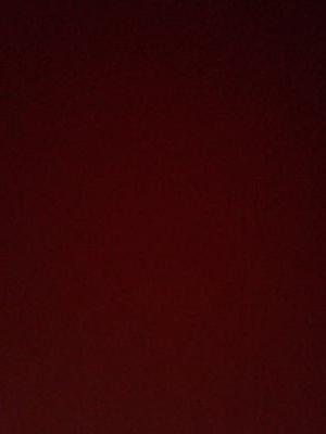 FMAS19's profile picture. The most dumbest shit that Mykel says.