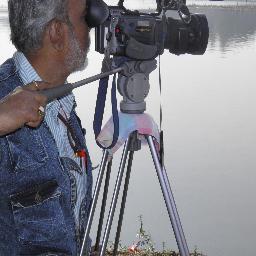 sanjaybrahma191's profile picture. 