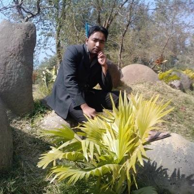 DidarHo95165510's profile picture. 