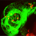 Zebrafish Portugal (@zebrafishpt) Twitter profile photo Zebrafish Portugal (@zebrafishpt) Twitter profile photo