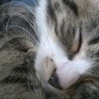 s (@brumzig) 's Twitter Profile