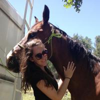 Katelyn Studebaker - @KatieJane408 Twitter Profile Photo