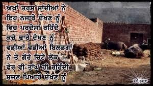 singh23398479's profile picture. Punjab