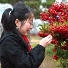 Ecologist at the Wuhan Botanical Garden, Chinese Academy of Sciences (Full Professor & PI) and Royal Botanic Gardens, Kew (Honorary Research Associate)