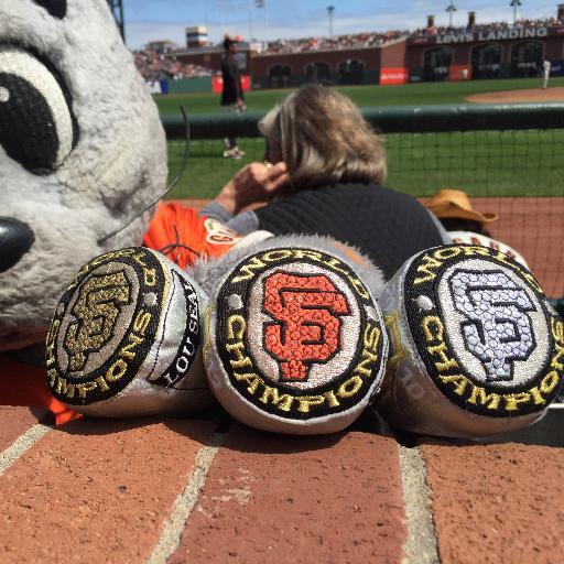 100winplaceshow's profile picture. Bay Area Fan