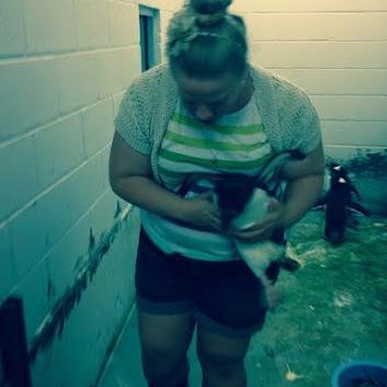 arhoey0924's profile picture. I love food, sharks, and baking. I work in a pharmacy. I'll graduate eventually. I don't actually know how to use twitter. Hello!