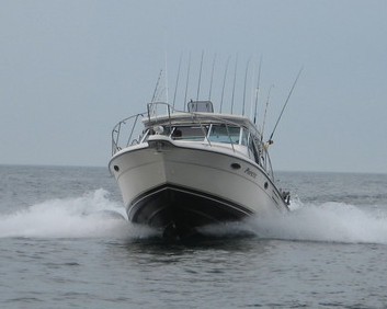 Popeyecharters's profile picture. Trophy sport fishing on Lake Ontario.