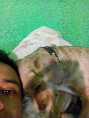 danielrs_24's profile picture. ...