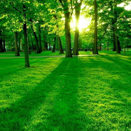 Dev3Developers1's profile picture. Saint, Loser