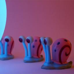 Coriacito's profile picture. Humain plein de contradictions...