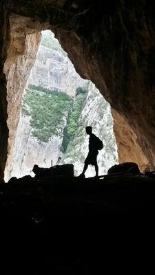 PPotrony's profile picture. 